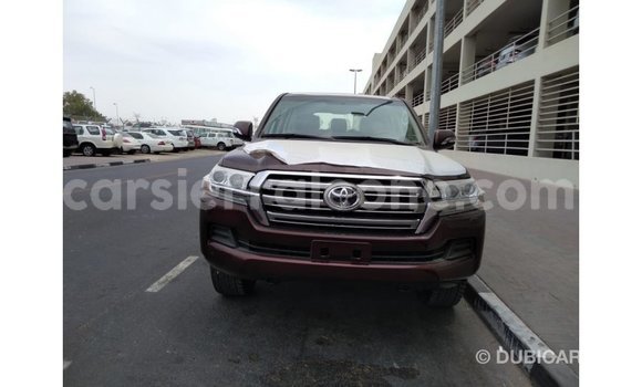 Buy Import Toyota Land Cruiser Brown Car in Import - Dubai in Kailahun Buy Import Toyota Land Cruiser Brown Car in Import - Dubai in Kailahun