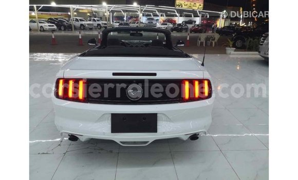 Buy Import Ford Mustang White Car in Import - Dubai in Kailahun Buy Import Ford Mustang White Car in Import - Dubai in Kailahun
