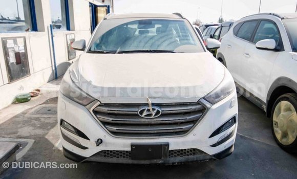 Acheter Import Voiture Hyundai Tucson Blanc à Import - Dubai, Kailahun Acheter Import Voiture Hyundai Tucson Blanc à Import - Dubai, Kailahun