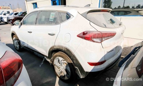 Acheter Import Voiture Hyundai Tucson Blanc à Import - Dubai, Kailahun Acheter Import Voiture Hyundai Tucson Blanc à Import - Dubai, Kailahun