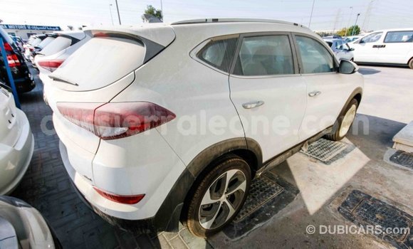 Acheter Import Voiture Hyundai Tucson Blanc à Import - Dubai, Kailahun Acheter Import Voiture Hyundai Tucson Blanc à Import - Dubai, Kailahun