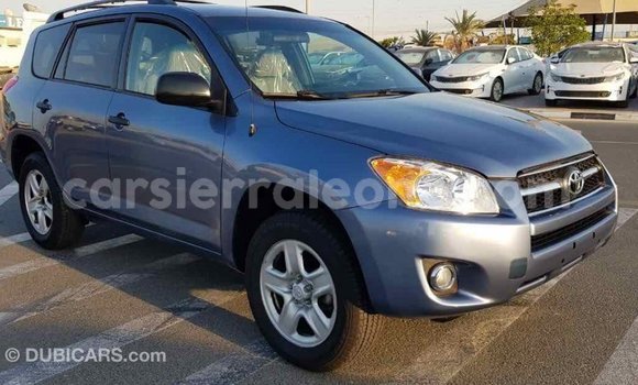 Buy Import Toyota RAV4 Blue Car in Import - Dubai in Kailahun Buy Import Toyota RAV4 Blue Car in Import - Dubai in Kailahun