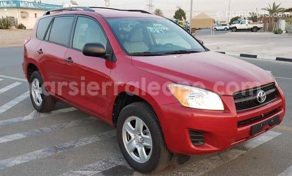 Buy Import Toyota RAV4 Red Car in Import - Dubai in Kailahun Buy Import Toyota RAV4 Red Car in Import - Dubai in Kailahun