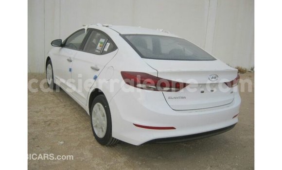 Buy Import Hyundai Elantra White Car in Import - Dubai in Kailahun