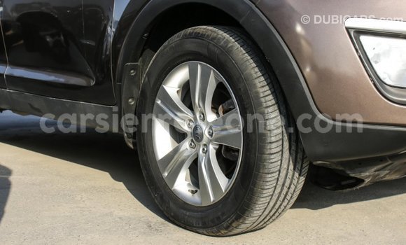 Buy Import Kia Sportage Brown Car in Import - Dubai in Kailahun