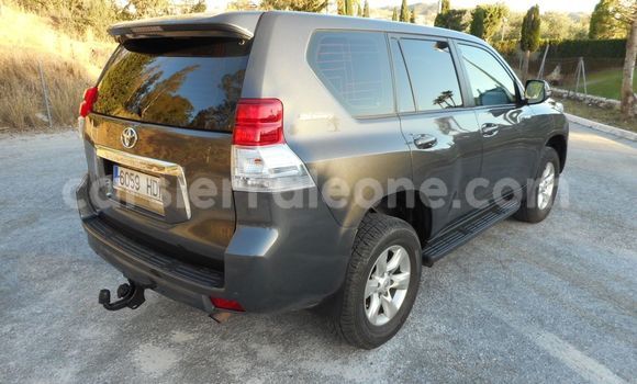 Buy Used Toyota Land Cruiser Prado Beige Car in Freetown in Western Urban Buy Used Toyota Land Cruiser Prado Beige Car in Freetown in Western Urban