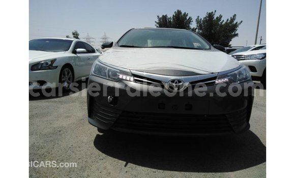 Buy Import Toyota Corolla Other Car in Import - Dubai in Kailahun Buy Import Toyota Corolla Other Car in Import - Dubai in Kailahun