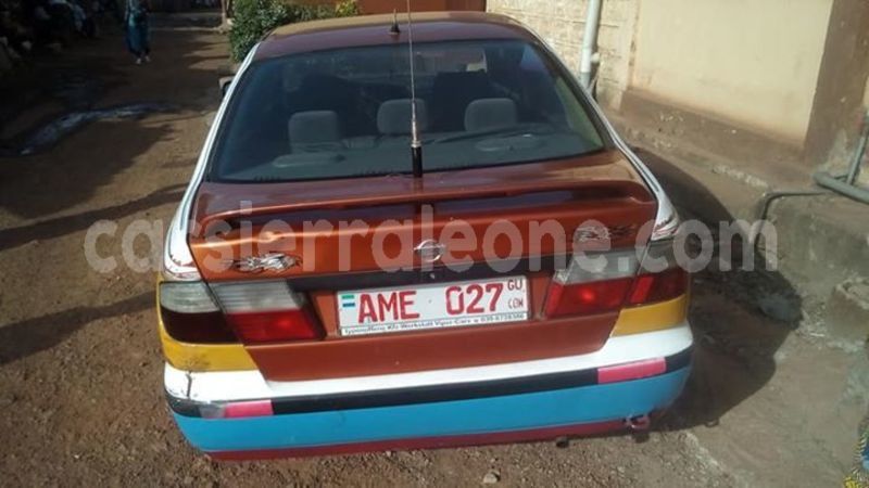 Big with watermark 57053766 1682311348582349 2775155159389437952 n