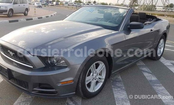 Buy Import Ford Mustang Other Car in Import - Dubai in Kailahun Buy Import Ford Mustang Other Car in Import - Dubai in Kailahun