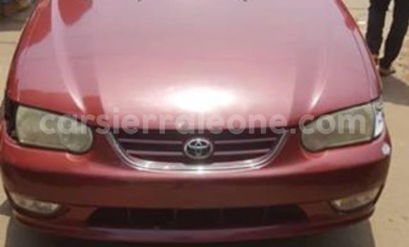 Buy Used Toyota Corolla Red Car in Freetown in Western Urban Buy Used Toyota Corolla Red Car in Freetown in Western Urban