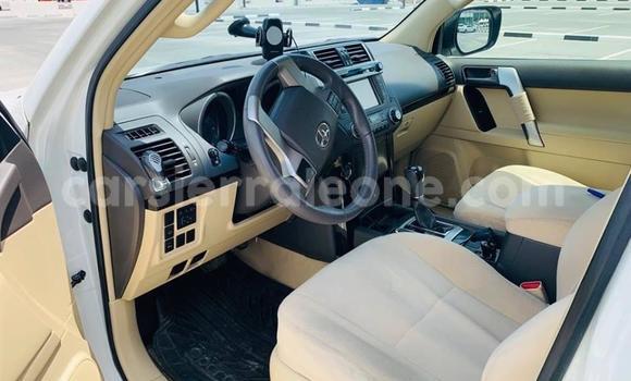 Buy Used Toyota Land Cruiser Prado White Car in Freetown in Western Urban Buy Used Toyota Land Cruiser Prado White Car in Freetown in Western Urban