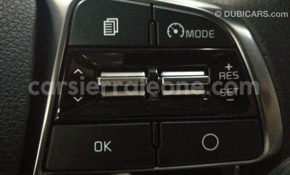 Buy Import Kia Sorento Brown Car in Import - Dubai in Kailahun Buy Import Kia Sorento Brown Car in Import - Dubai in Kailahun