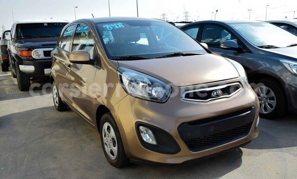 Buy Import Kia Picanto Brown Car in Import - Dubai in Kailahun Buy Import Kia Picanto Brown Car in Import - Dubai in Kailahun