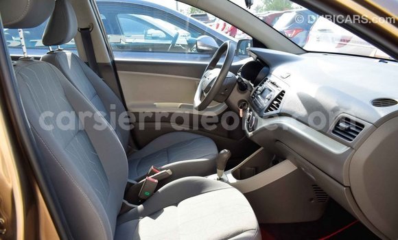 Buy Import Kia Picanto Brown Car in Import - Dubai in Kailahun Buy Import Kia Picanto Brown Car in Import - Dubai in Kailahun