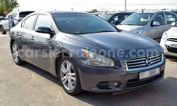 Buy Import Nissan Maxima Other Car in Import - Dubai in Kailahun Buy Import Nissan Maxima Other Car in Import - Dubai in Kailahun