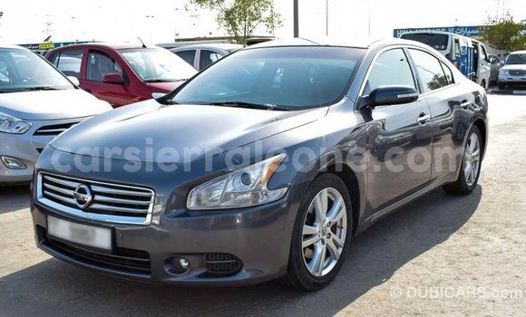 Buy Import Nissan Maxima Other Car in Import - Dubai in Kailahun Buy Import Nissan Maxima Other Car in Import - Dubai in Kailahun