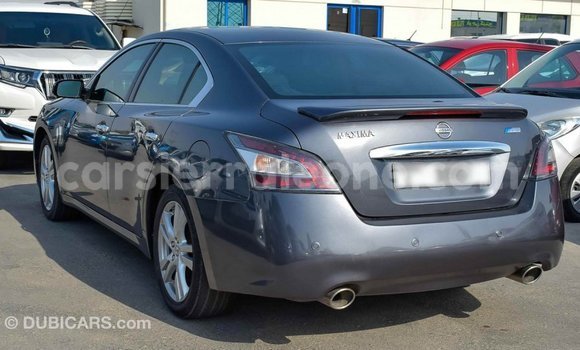 Buy Import Nissan Maxima Other Car in Import - Dubai in Kailahun Buy Import Nissan Maxima Other Car in Import - Dubai in Kailahun