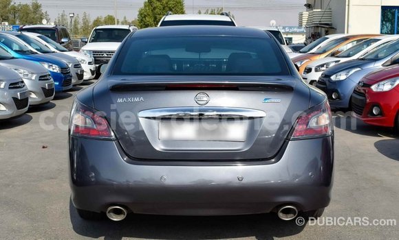 Buy Import Nissan Maxima Other Car in Import - Dubai in Kailahun Buy Import Nissan Maxima Other Car in Import - Dubai in Kailahun