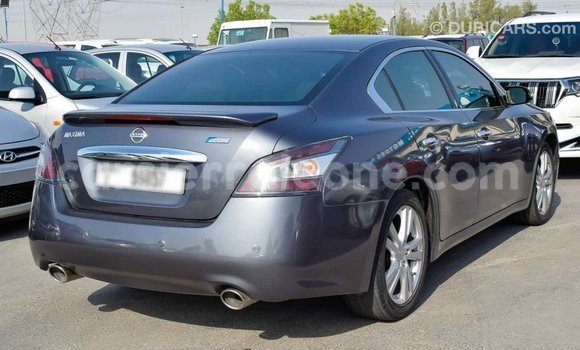Buy Import Nissan Maxima Other Car in Import - Dubai in Kailahun Buy Import Nissan Maxima Other Car in Import - Dubai in Kailahun