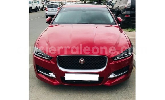 Buy Import Jaguar XE Red Car in Import - Dubai in Kailahun
