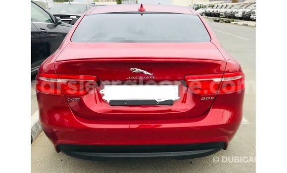 Buy Import Jaguar XE Red Car in Import - Dubai in Kailahun Buy Import Jaguar XE Red Car in Import - Dubai in Kailahun