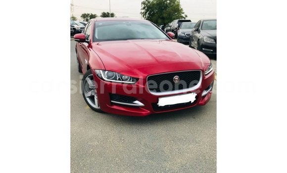Buy Import Jaguar XE Red Car in Import - Dubai in Kailahun Buy Import Jaguar XE Red Car in Import - Dubai in Kailahun