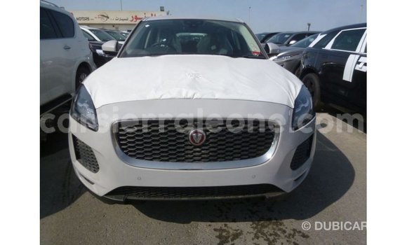 Buy Import Jaguar E-Pace White Car in Import - Dubai in Kailahun Buy Import Jaguar E-Pace White Car in Import - Dubai in Kailahun