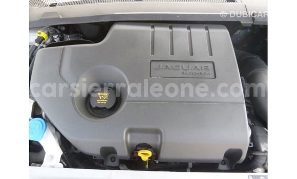 Buy Import Jaguar E-Pace White Car in Import - Dubai in Kailahun Buy Import Jaguar E-Pace White Car in Import - Dubai in Kailahun