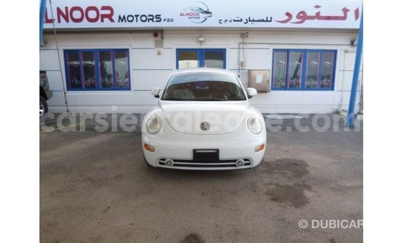 Buy Import Volkswagen Beetle White Car in Import - Dubai in Kailahun Buy Import Volkswagen Beetle White Car in Import - Dubai in Kailahun