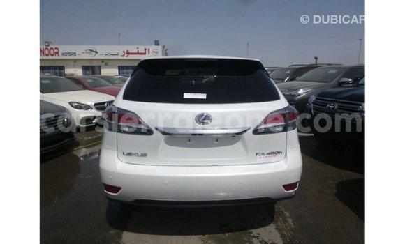 Buy Import Lexus RX White Car in Import - Dubai in Kailahun Buy Import Lexus RX White Car in Import - Dubai in Kailahun