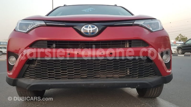 Big with watermark f101253f 9d02 4d7e 9099 851e8c5ad2fa