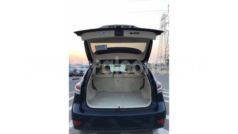 Big with watermark 4f4e0b7a 85bf 48e4 9c7d 9f05dc2b603e