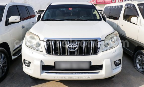 Acheter Import Voiture Toyota Prado Blanc à Import - Dubai, Kailahun Acheter Import Voiture Toyota Prado Blanc à Import - Dubai, Kailahun