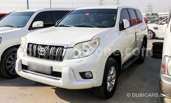 Acheter Import Voiture Toyota Prado Blanc à Import - Dubai, Kailahun Acheter Import Voiture Toyota Prado Blanc à Import - Dubai, Kailahun