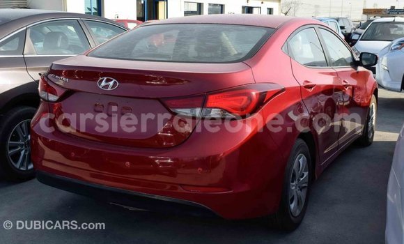 Buy Import Hyundai Elantra Red Car in Import - Dubai in Kailahun Buy Import Hyundai Elantra Red Car in Import - Dubai in Kailahun