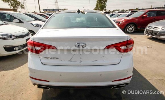 Acheter Import Voiture Hyundai Sonata Blanc à Import - Dubai, Kailahun Acheter Import Voiture Hyundai Sonata Blanc à Import - Dubai, Kailahun