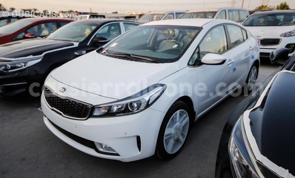 Buy Import Kia Cerato White Car in Import - Dubai in Kailahun Buy Import Kia Cerato White Car in Import - Dubai in Kailahun