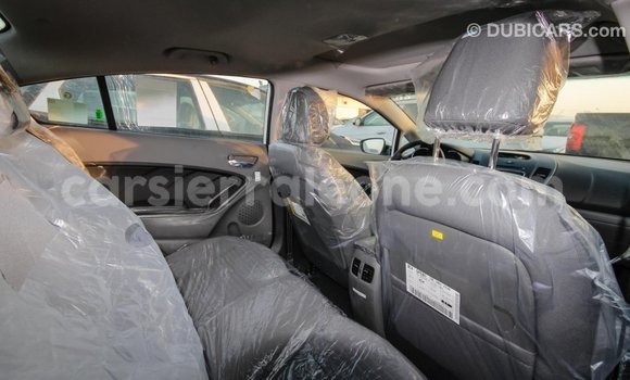 Buy Import Kia Cerato White Car in Import - Dubai in Kailahun Buy Import Kia Cerato White Car in Import - Dubai in Kailahun
