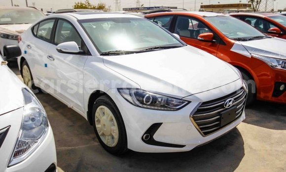 Acheter Import Voiture Hyundai Elantra Blanc à Import - Dubai, Kailahun Acheter Import Voiture Hyundai Elantra Blanc à Import - Dubai, Kailahun