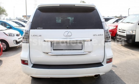 Buy Import Lexus GX White Car in Import - Dubai in Kailahun Buy Import Lexus GX White Car in Import - Dubai in Kailahun