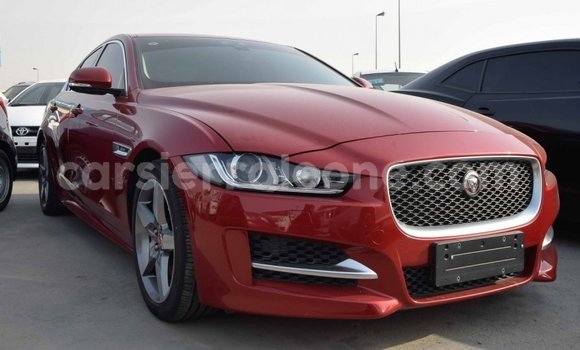 Buy Import Jaguar XE Red Car in Import - Dubai in Kailahun