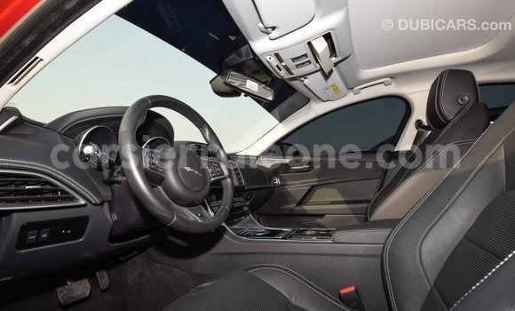 Buy Import Jaguar XE Red Car in Import - Dubai in Kailahun Buy Import Jaguar XE Red Car in Import - Dubai in Kailahun