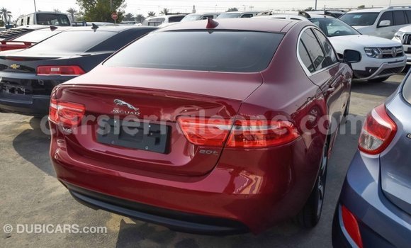 Buy Import Jaguar XE Red Car in Import - Dubai in Kailahun Buy Import Jaguar XE Red Car in Import - Dubai in Kailahun