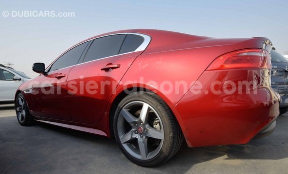 Buy Import Jaguar XE Red Car in Import - Dubai in Kailahun Buy Import Jaguar XE Red Car in Import - Dubai in Kailahun