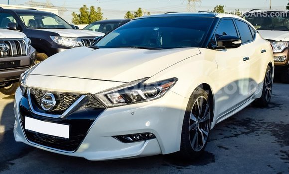 Buy Import Nissan Maxima White Car in Import - Dubai in Kailahun Buy Import Nissan Maxima White Car in Import - Dubai in Kailahun