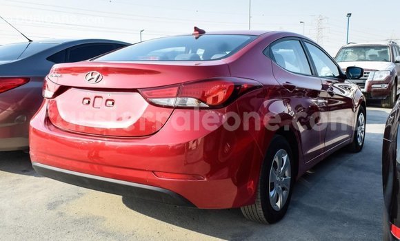 Acheter Import Voiture Hyundai Elantra Rouge à Import - Dubai, Kailahun Acheter Import Voiture Hyundai Elantra Rouge à Import - Dubai, Kailahun