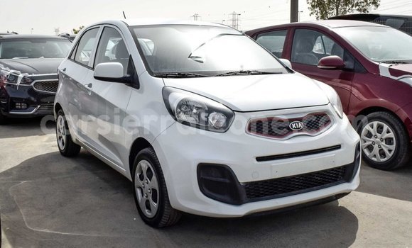 Buy Import Kia Picanto White Car in Import - Dubai in Kailahun Buy Import Kia Picanto White Car in Import - Dubai in Kailahun
