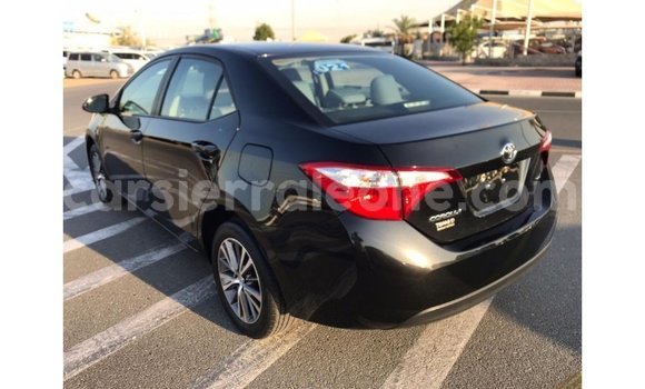Buy Import Toyota Corolla Black Car in Import - Dubai in Kailahun Buy Import Toyota Corolla Black Car in Import - Dubai in Kailahun
