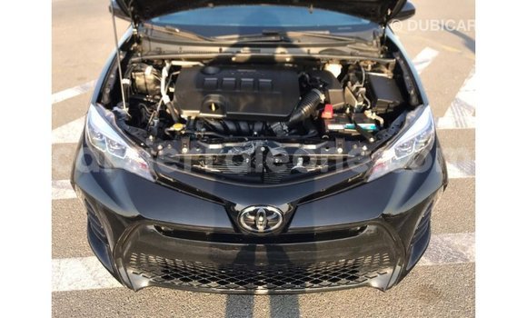 Buy Import Toyota Corolla Black Car in Import - Dubai in Kailahun Buy Import Toyota Corolla Black Car in Import - Dubai in Kailahun