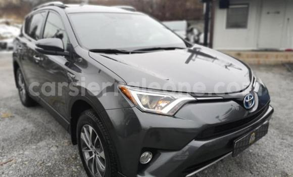 Buy Used Toyota RAV4 Other Car in Baiima in Bo Buy Used Toyota RAV4 Other Car in Baiima in Bo